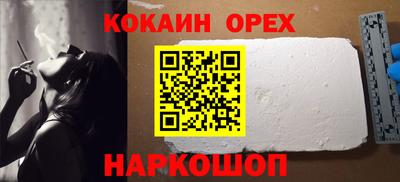 apvp Бердск