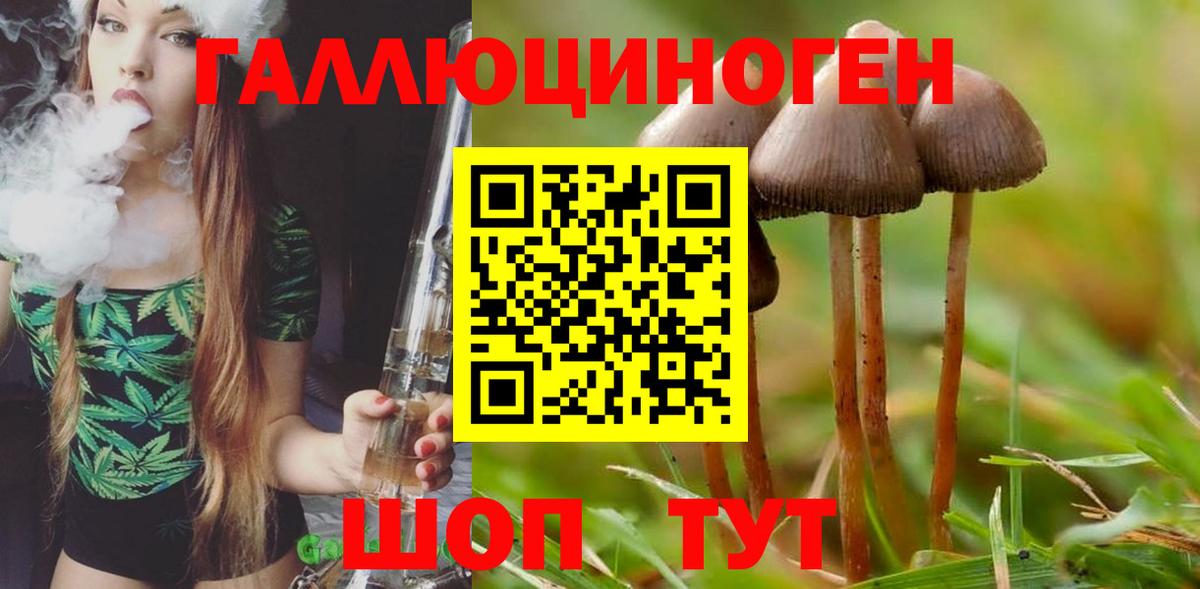 Галлюциногенные грибы ЛСД  Вход с VPN  Галлюциногенные грибы Psilocybine cubensis  Шелехов 